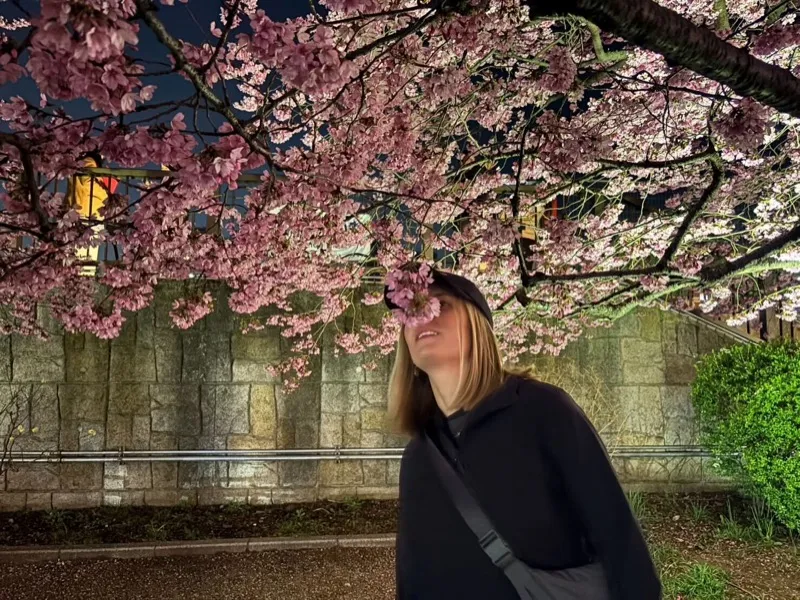 Guest admiring night cherry blossoms in Tokyo